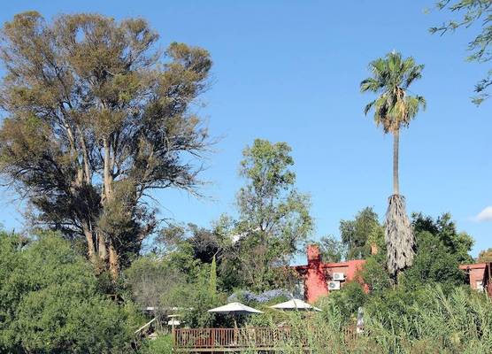 Gumtree Guest House 1