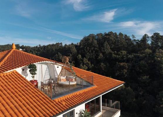 Estrelas do Douro 1