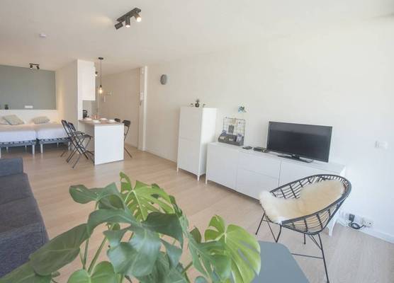 Ostend Studio 1