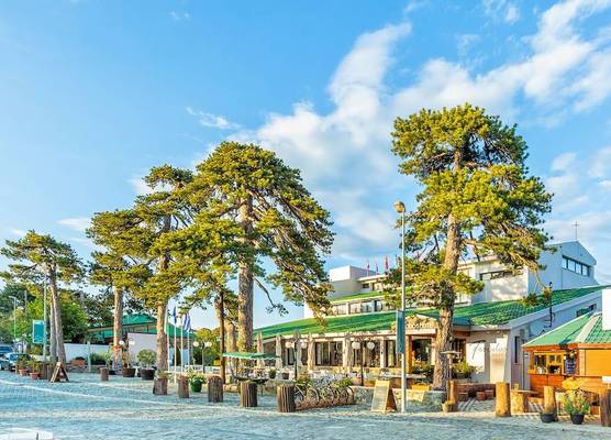 Troodos Hotel & Spa 1