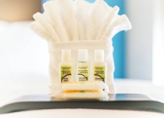 Holiday Inn & Suites Chattanooga Downtown by IHG 1