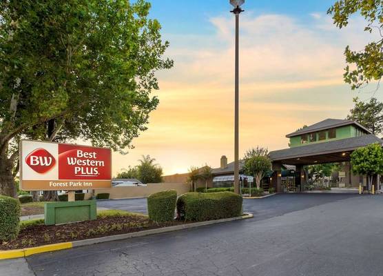 Best Western Plus Forest Park Inn 1