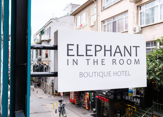 Elephant In The Room 1