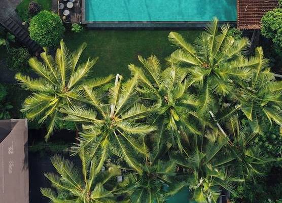 The Artini Dijiwa Ubud 1