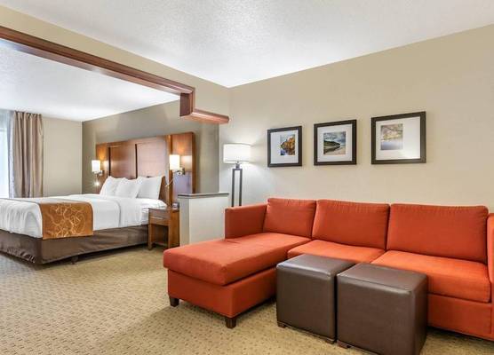 Comfort Suites Grand Rapids North 1