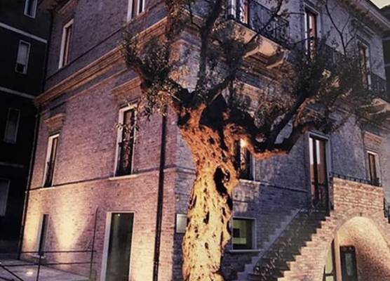 B&B Palazzo Storico Di Nicola 1