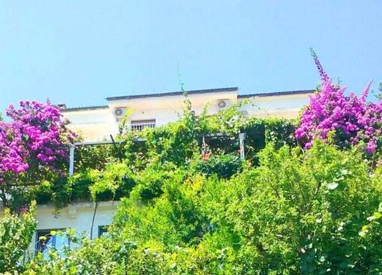 Madra Rooms and Apartments 1
