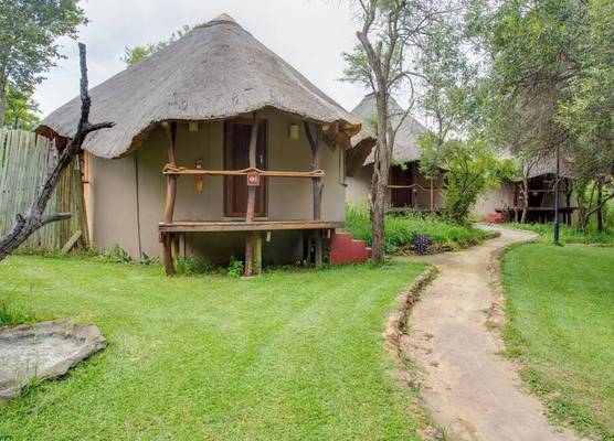 Warthogs Bush Lodge 1