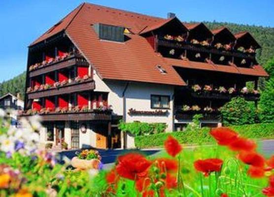Hotel Schwarzwaldhof 1
