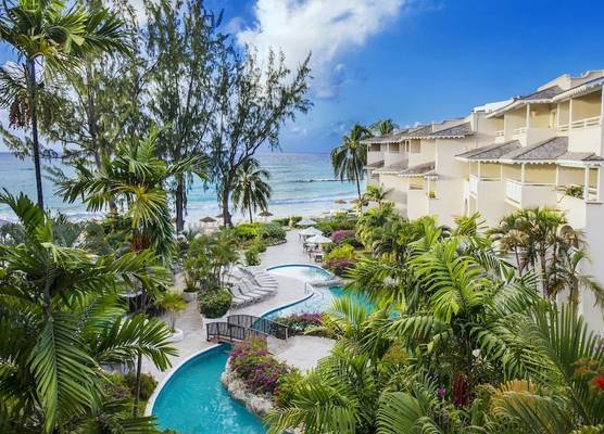Bougainvillea Barbados 1
