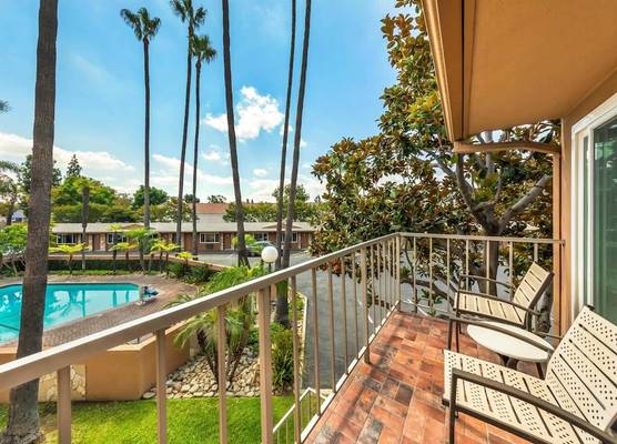 Best Western Pine Tree Motel 1