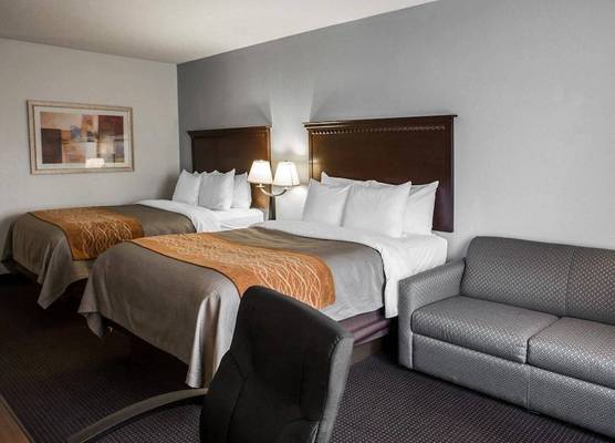 Comfort Inn & Suites Lumberton Central I-95 1
