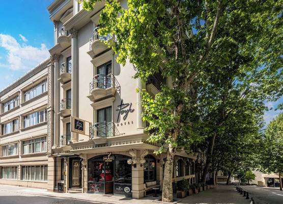 Peyk Hotel Sultanahmet 1