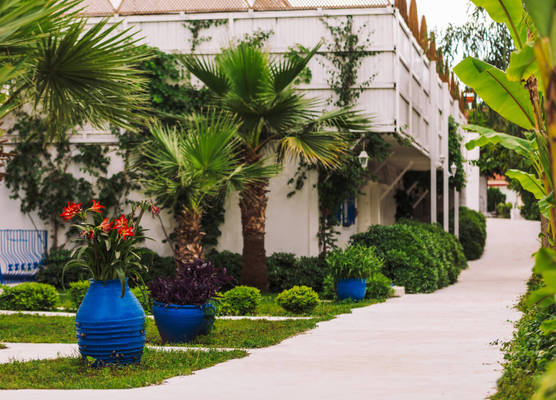 Monta Verde Hotel & Villas 1