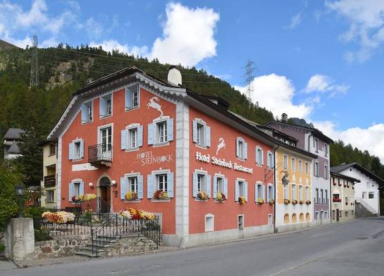 Hotel Steinbock Pontresina 1