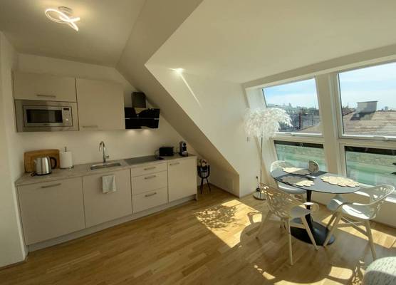 Dachgeschoss Loft im Herzen von Wien 1