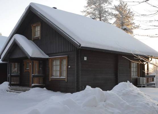 Cozy Alpine Retreat - Near Ski Lifts 1