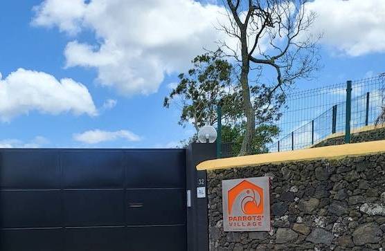 Parrots`Village 1