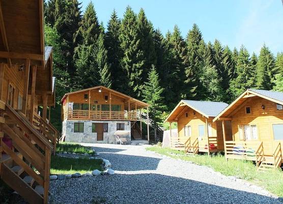 Mountain Cabins 1