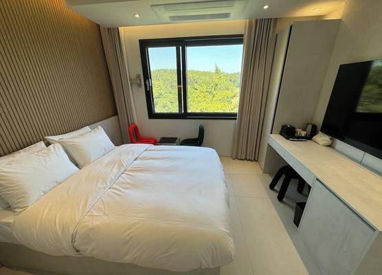 HOTEL CASHMIR 1