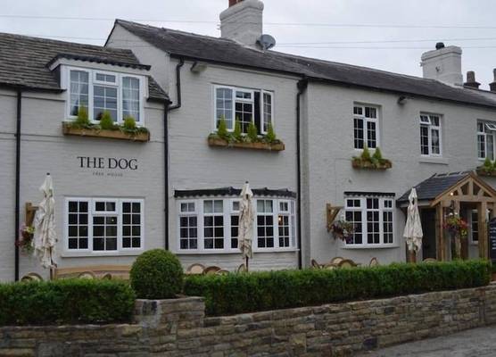 The Dog in Over Peover 1