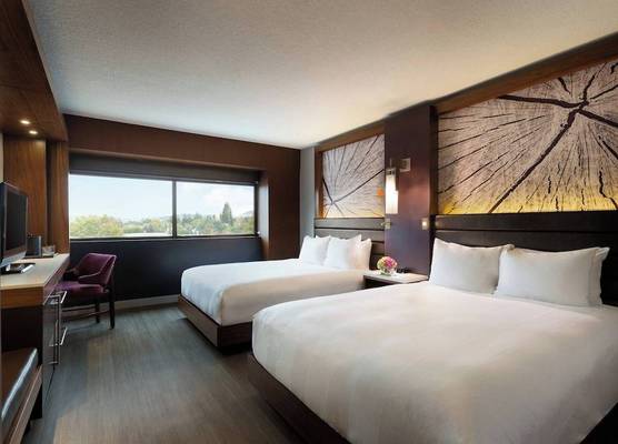 Walnut Creek Marriott 1