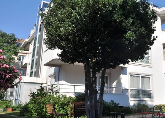 dragos island hotel 1