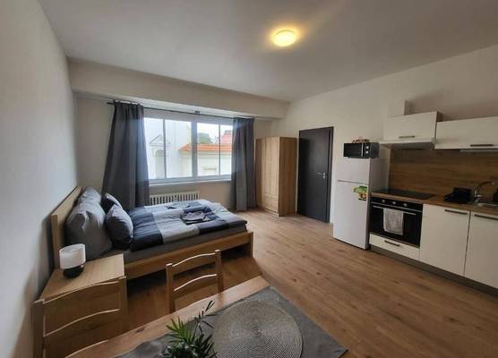 City Center Apartments - Moderna Brno Římské náměstí II 1