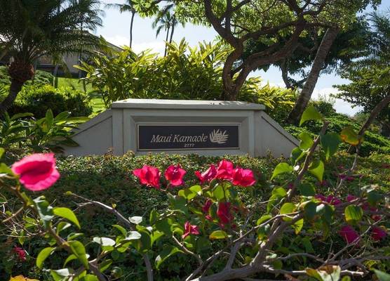 Maui Kamaole 1