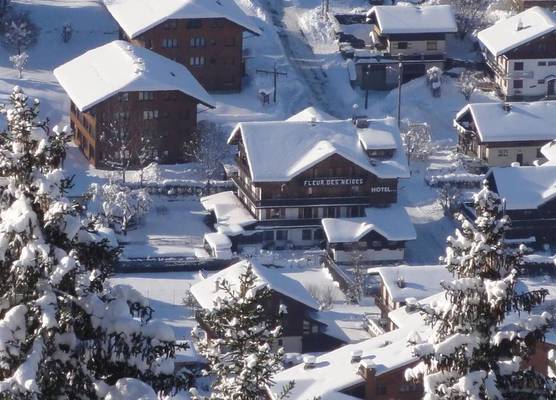 Fleur des Neiges 1