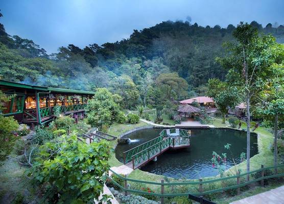 Trogon Lodge 1