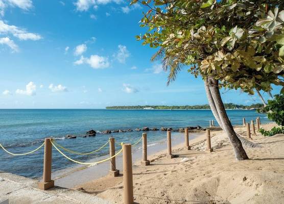 Tropikist Beach Hotel & Resort 1