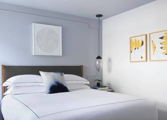 Kimpton Virgilio Polanco by IHG 1