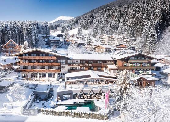 Hotel Gassner - 4 Sterne Superior - 1200 qm SPA 1