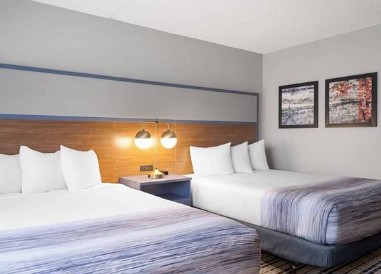 AmericInn by Wyndham Alexandria 1