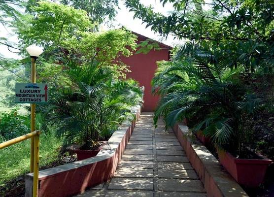 Wild Camp- The Nature Resort 1
