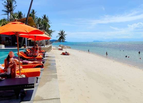 Mimosa Resort & Spa 1