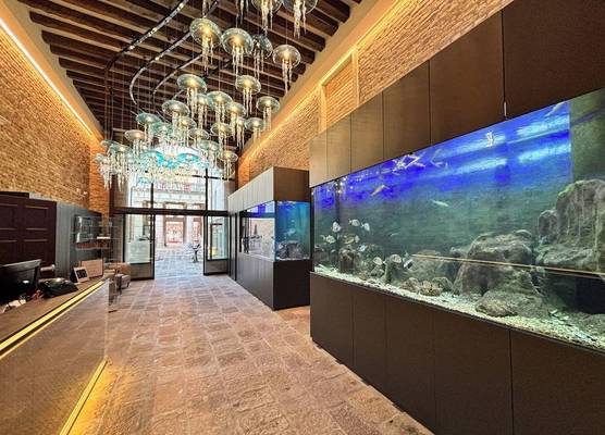 Hotel Aquarius Venice - Ascend Collection 1