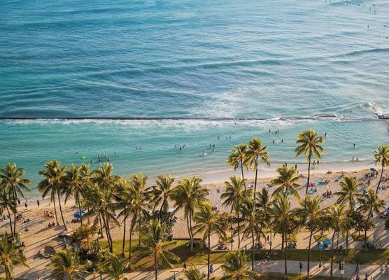 Waikiki Beach Marriott Resort & Spa 1