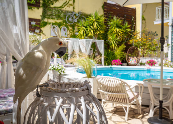 V.A. Boutique Apartments and Suites 1