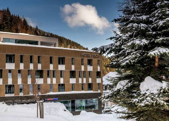 HOTEL PECR WELL 1