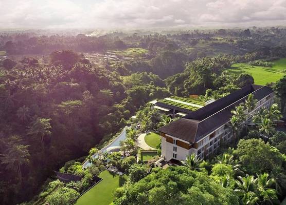 The Westin Resort & Spa Ubud, Bali 1