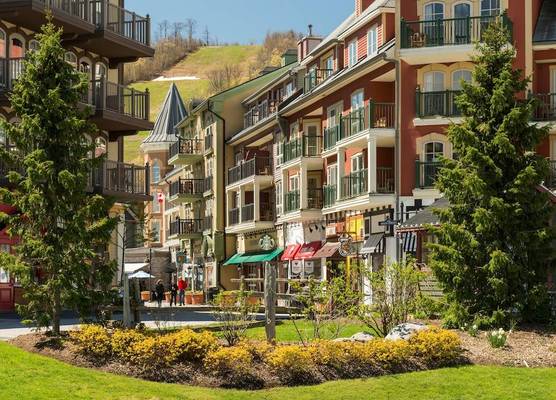 Blue Mountain Resort Village Suites 1