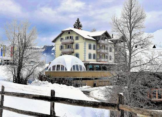 The Alpina Mountain Resort 1