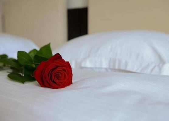 Hotel Bulevard Predeal 1