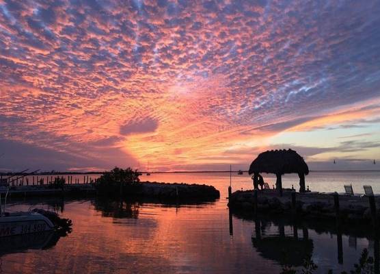 Amoray Dive Resort 1