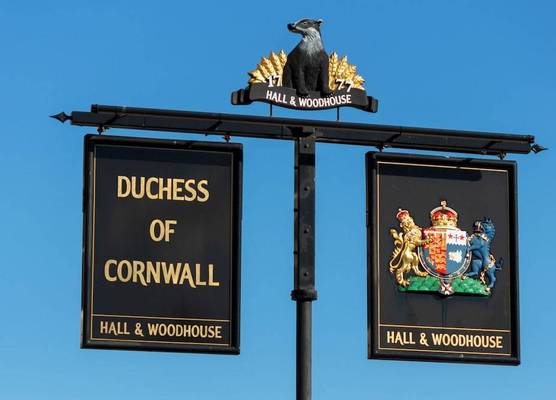 The Duchess of Cornwall 1