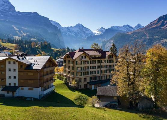 Historic Hotel Falken 1