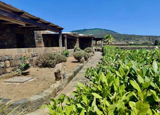 Abraxas Vigne di Pantelleria - Tenuta Bukkuram 1