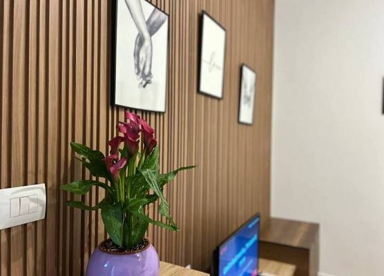 Tirana Budget Retreat Hotel 1